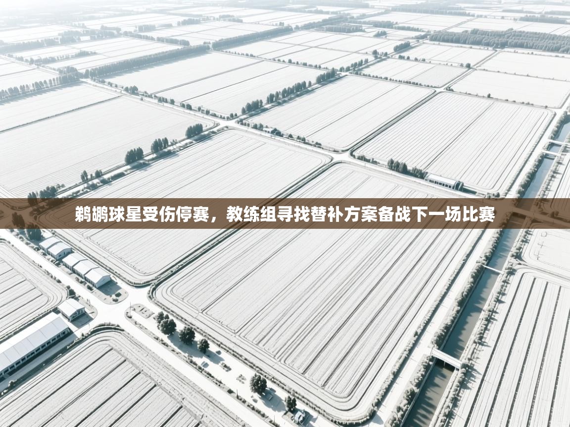 海星体育官网-鹈鹕球星受伤停赛，教练组寻找替补方案备战下一场比赛  第1张