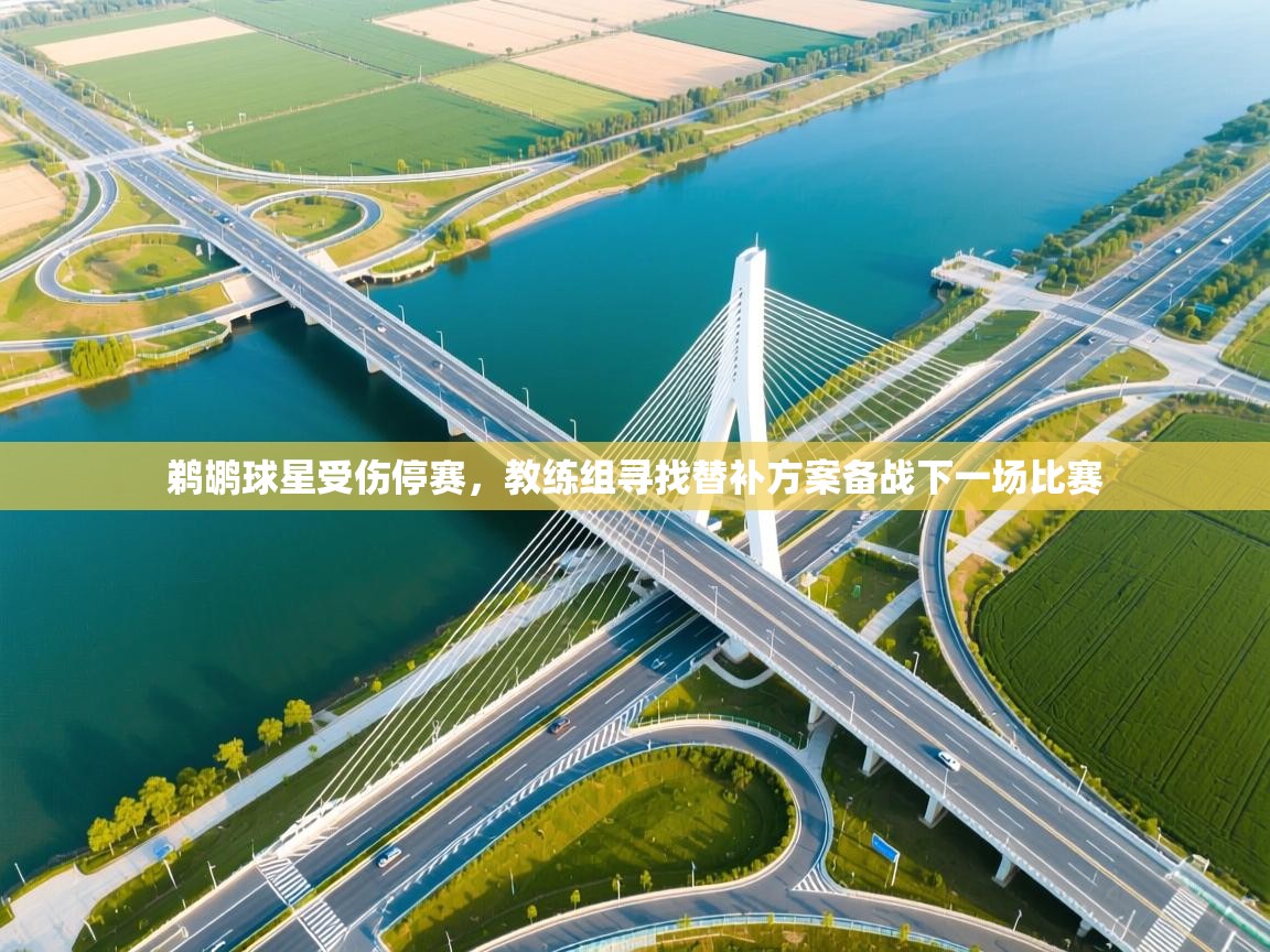 海星体育官网-鹈鹕球星受伤停赛，教练组寻找替补方案备战下一场比赛  第2张