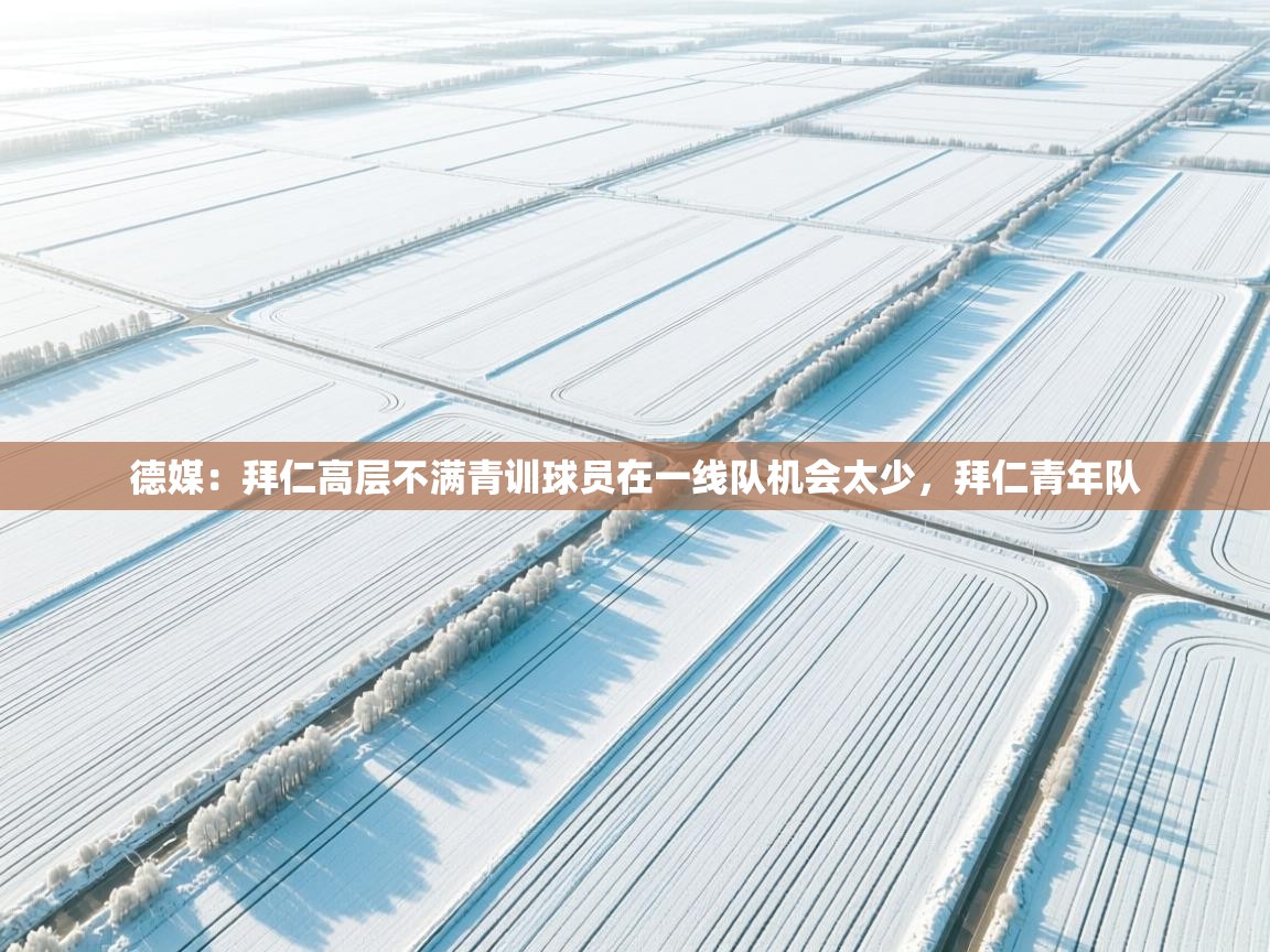 海星体育tv-德媒：拜仁高层不满青训球员在一线队机会太少，拜仁青年队  第2张
