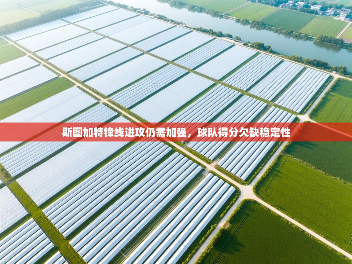 海星体育tv官方网站-斯图加特锋线进攻仍需加强，球队得分欠缺稳定性  第2张