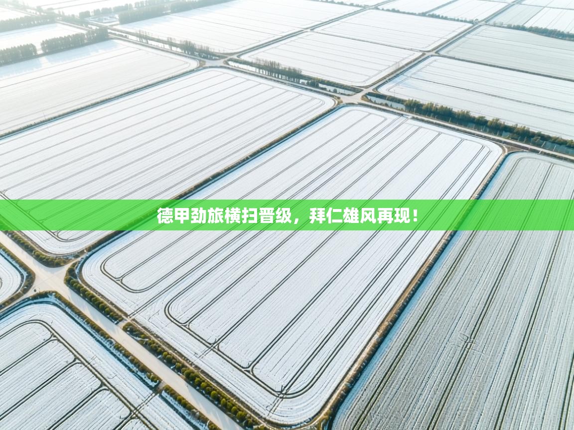 海星体育下载-德甲劲旅横扫晋级，拜仁雄风再现！  第3张