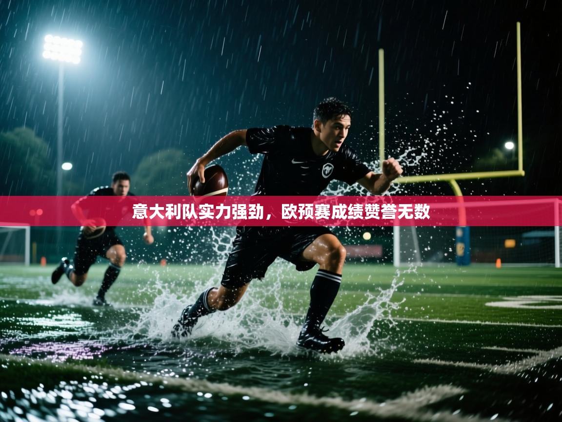 海星体育下载-意大利队实力强劲，欧预赛成绩赞誉无数  第4张